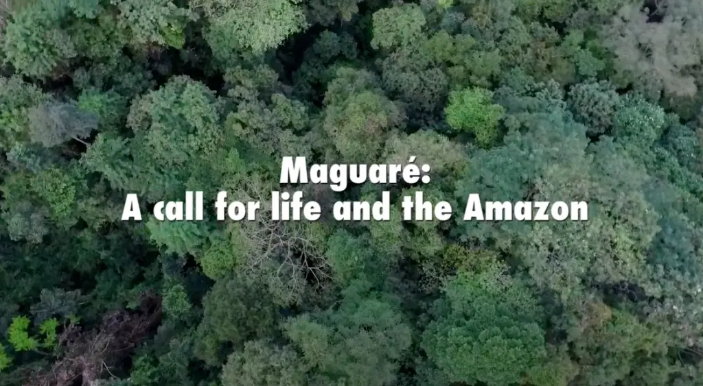 Maguaré: Un llamado por la vida y la Amazonia.