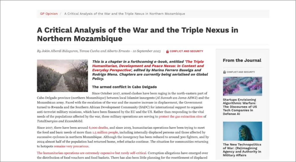 A Critical Analysis of the War and the Triple Nexus in Northern Mozambique